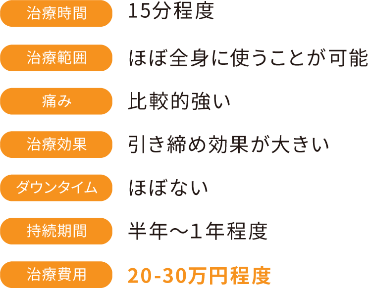 治療時間：15分程度　治療範囲：ほぼ全身に使うことが可能　痛み：比較的強い　治療効果：引き締め効果が大きい　ダウンタイム：ほぼない　持続期間：半年〜1年程度　治療費用：20-30万円程度